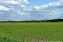 Biesenbrow, Wiesen