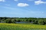 Bölkendorf, Apfelsee