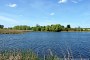 Bölkendorf, Dammsee