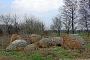 Blumberg, Findlinge