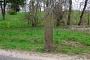 Blumberg, Wegezeichen