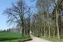 Damitzow, Kastanienallee