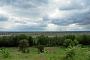 Gartz (Oder), Oderblick