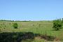Gartz (Oder), Blick zum Schrey