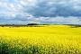 Geesow, Landschaft