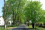 Hohenselchow, Allee