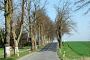 Keesow, Allee