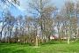 Petershagen, Baumkreis