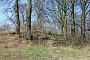 Vorwerk Radekow, Ruine