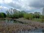 Neurosow, Dorfteich