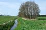 Schönfeld (bei Tantow), Landgraben nach Westen