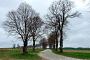 Wartin, Lindenweg