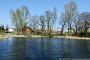 Wartin, Dorfteich