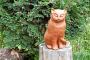 Berkholz, Katze