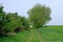 Fredersdorfer Weg