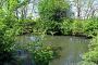 Teich