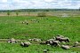 Schwedt, Polderblick